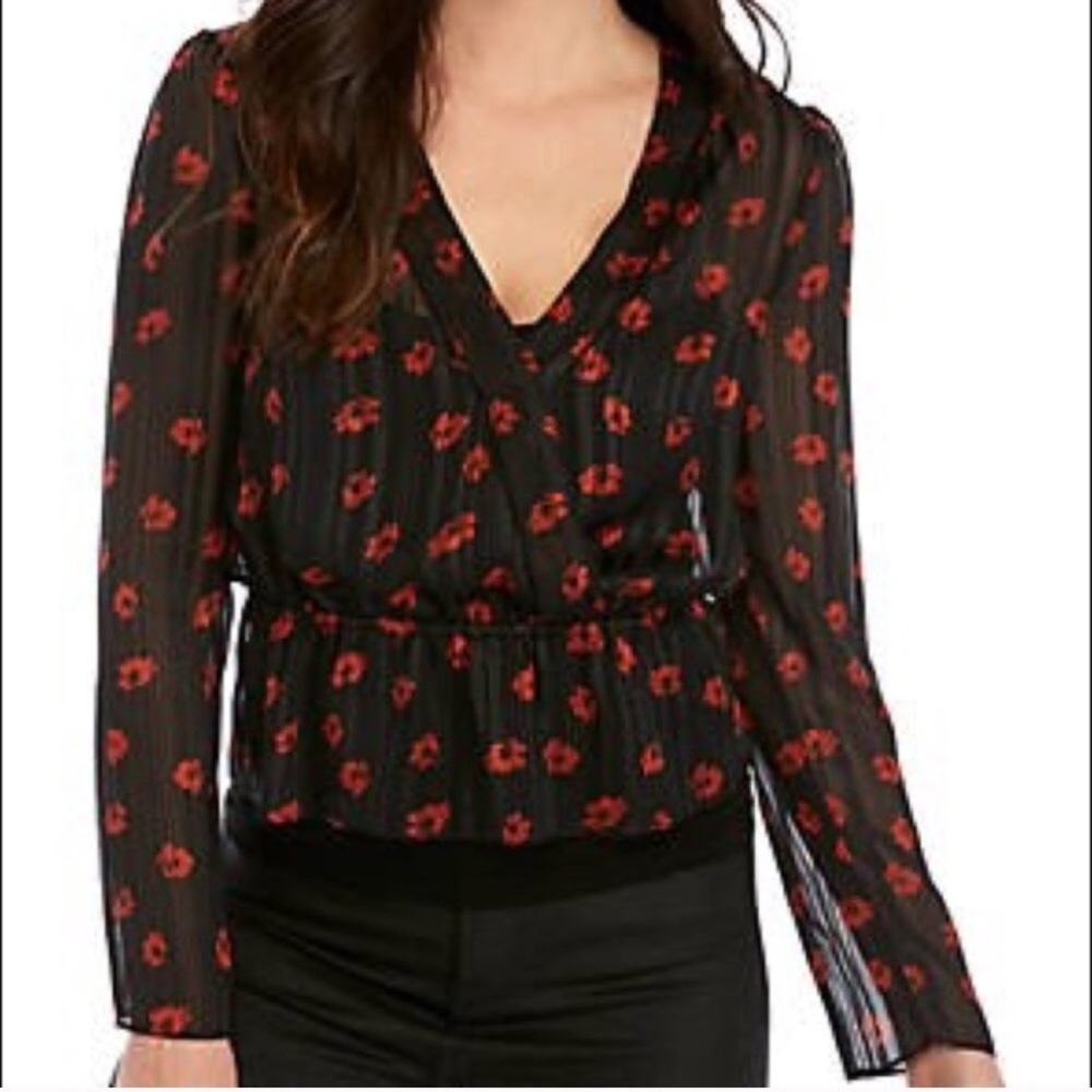 Host Pick✨WAYF Carter Long Sleeve Blouse